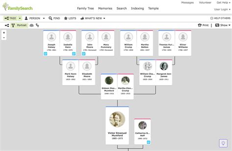 find my relatives family search.